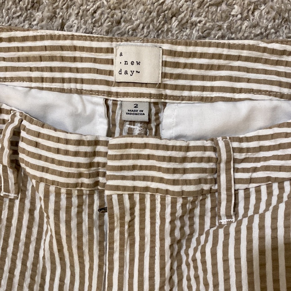 Dressy Shorts - Picture 3 of 4